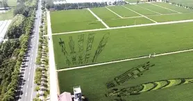 独家：大坂直美俱乐部赛事进球助的简单介绍