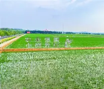 独家：大坂直美俱乐部赛事进球助的简单介绍